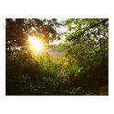 Mystical Forest posters by Eli_ Mystical Forest posters