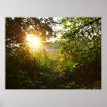 Mystical Forest posters