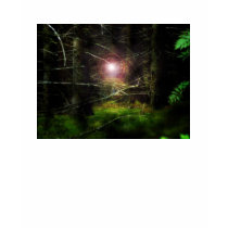 Mystical Forest t-shirts