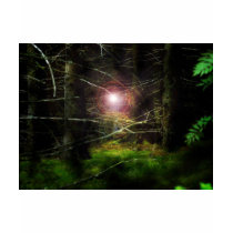 Mystical Forest t-shirts