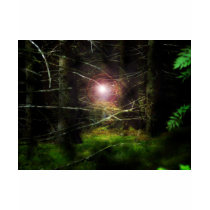 Mystical Forest t-shirts