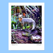 "Mystical Fox" Original Photography by S.Russell posters