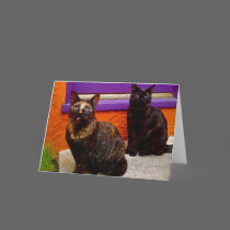 Mystical Monkey Cats Greeting Card