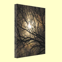 Mystical Moon canvas prints