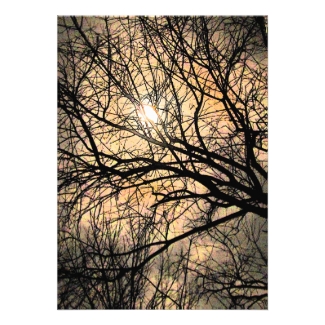 Mystical Moon Halloween