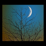 Mystical Moon ll Poster posters