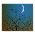 Mystical Moon ll Poster posters