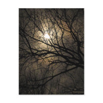 Mystical Moon Postcard