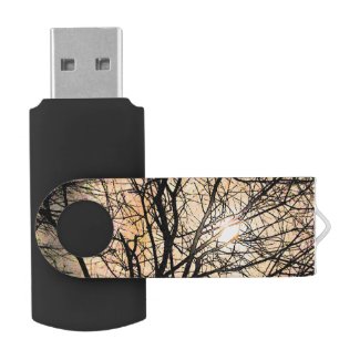 Mystical Moon Swivel USB 2.0 Flash Drive