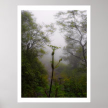 Mystical Morning at Appalachian Trail Print