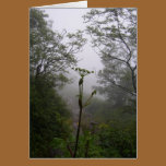 Mystical Morning cards