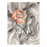 Mystical Rose In Darkness postcards