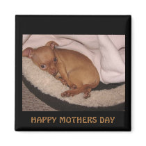 n1033590036_30076141_3289, HAPPY MOTHERS DAY magnets by T026890M n1033590036_30076141_3289, HAPPY MOTHERS DAY magnets