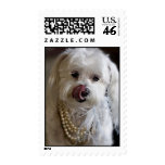 n1159325899_30299794_5142 postage