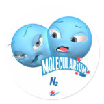 N2 Sticker