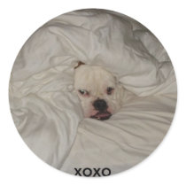 n503791209_1756073_2972, xoxo stickers
