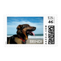 n731356264_2404290_236, BRINDI Postage Stamps