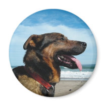 n731356264_2404290_236 refrigerator magnet