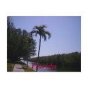 n92700683_30119323_5484, ... postcards by kaylaalley n92700683_30119323_5484, ... postcards