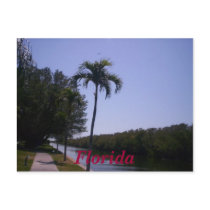 n92700683_30119323_5484, ... postcards by kaylaalley n92700683_30119323_5484, ... postcards