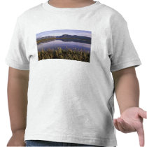 N.A., Canada, Newfoundland, Gros Morne National Tees
