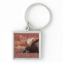 N.A., USA, Alaska, Denali National Park, Bull Key Chain