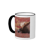 N.A., USA, Alaska, Denali National Park, Bull Coffee Mugs