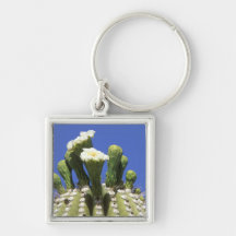 N.A., USA, Arizona, Tucson, Sonora Desert 2 Keychains