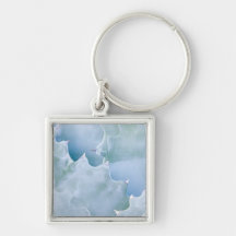 N.A., USA, Arizona, Tucson, Sonora Desert 2 Key Chains