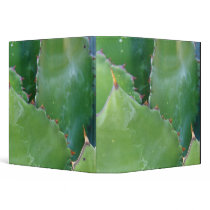N.A., USA, Arizona, Tucson, Sonora Desert Binders