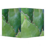 N.A., USA, Arizona, Tucson, Sonora Desert Binders