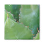 N.A., USA, Arizona, Tucson, Sonora Desert Refrigerator Magnet