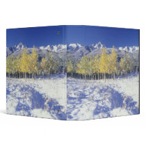 N.A., USA, Colorado, San Juan Mts Fresh snow 3 Ring Binders