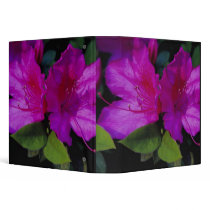 N.A. USA, Georgia, Savannah. Azalea in bloom. Vinyl Binder