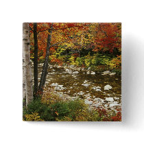 N.A., USA, New Hampshire, White Mountains, Pinback Buttons