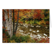 N.A., USA, New Hampshire, White Mountains, Greeting Cards