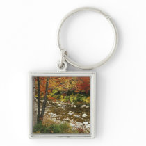 N.A., USA, New Hampshire, White Mountains, Key Chains