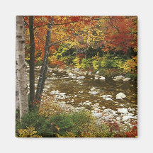 N.A., USA, New Hampshire, White Mountains, Fridge Magnets