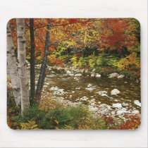N.A., USA, New Hampshire, White Mountains, Mousepad