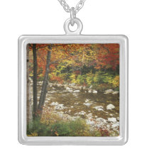 N.A., USA, New Hampshire, White Mountains, Necklaces
