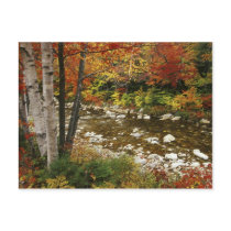 N.A., USA, New Hampshire, White Mountains, Post Card
