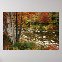 N.A., USA, New Hampshire, White Mountains,