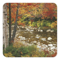 N.A., USA, New Hampshire, White Mountains, Square Sticker