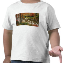 N.A., USA, New Hampshire, White Mountains, T-shirts