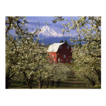 N.A., USA, Oregon, Hood River County. Red Postcards