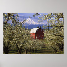 N.A., USA, Oregon, Hood River County. Red Posters
