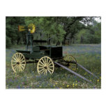 N.A., USA, Texas, Devine, Old wagon and Postcards