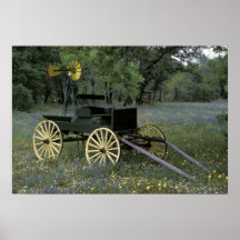 N.A., USA, Texas, Devine, Old wagon and Print