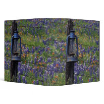 N.A., USA, Texas, Llano, Blue Lantern and Binder