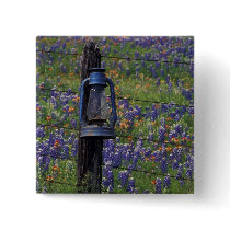 N.A., USA, Texas, Llano, Blue Lantern and Pins